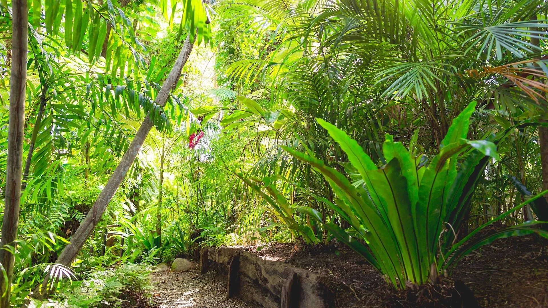 Cairns Colonial Club Resort Hotel